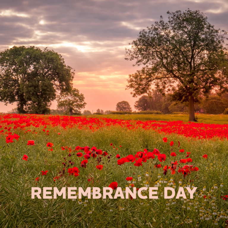 Open Remembrance Day Origins Parkour